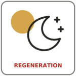 Kachel_04_Regeneration