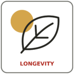 Kachel_07_Longevity